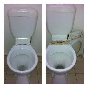 Deep cleaned toilet seat on the left compared to a dirty toilet seat on the right, illustrating effective toilet cleaning results.